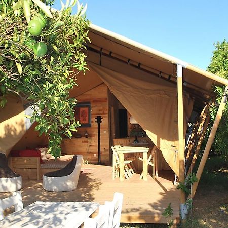 Campo Portakal Eco Glamping Hotell Çıralı Rom bilde