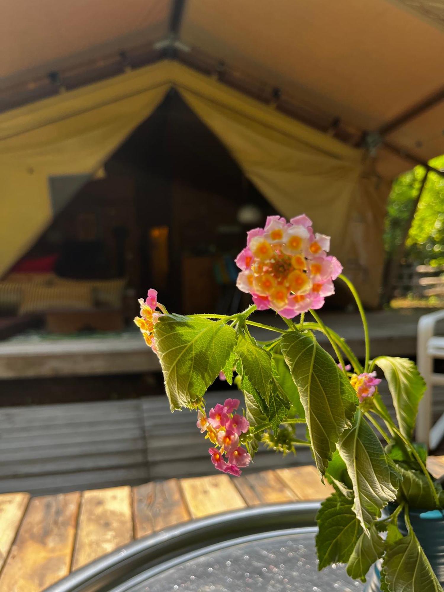 Campo Portakal Eco Glamping Hotell Çıralı Rom bilde