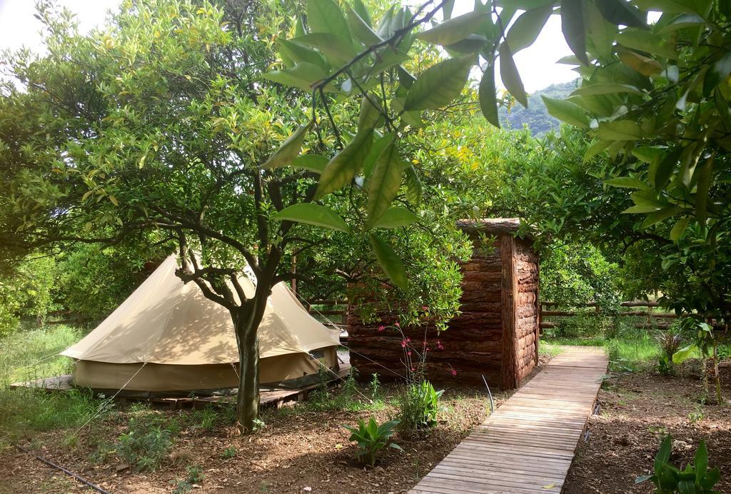 Campo Portakal Eco Glamping Hotell Çıralı Eksteriør bilde