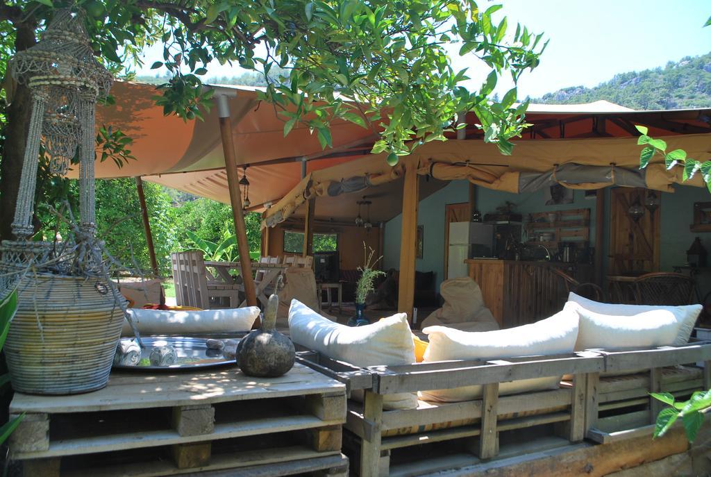 Campo Portakal Eco Glamping Hotell Çıralı Eksteriør bilde